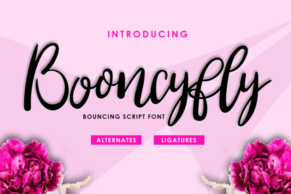 Booncyfly: A Graceful Font for Polished Branding