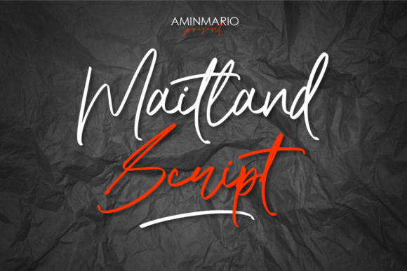Choosing Maitland for a Lifestyle Blog Redesign