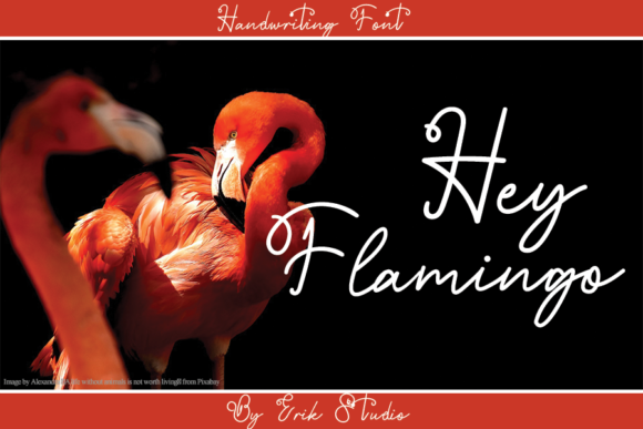 Hey Flamingo: A Timeless Script Font for Handmade Creations