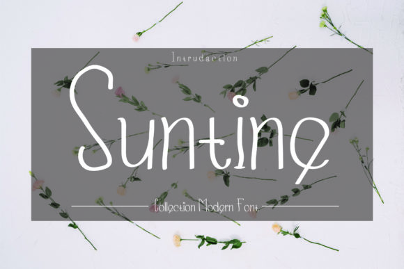 How Suntine Transformed My Brand's Visual Identity