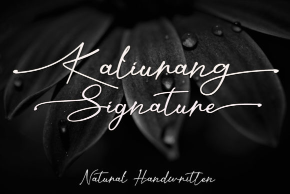 Kaliurang Signature Font Review