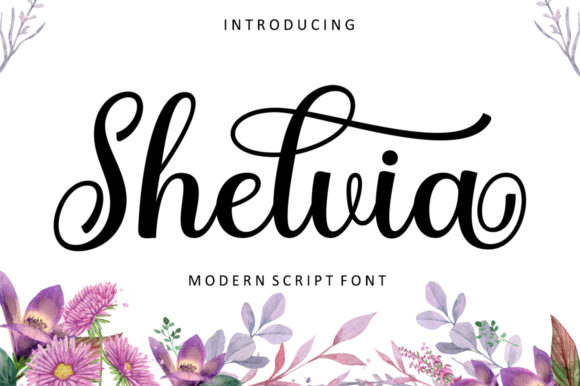 Shelvia Font for Elegant Web Design
