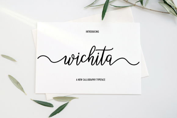Wichita Script Font for Web Design